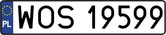 WOS19599