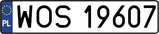 WOS19607