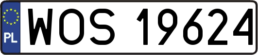 WOS19624