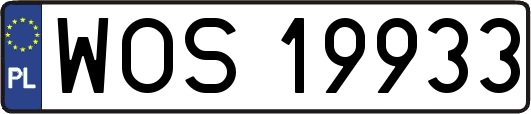 WOS19933