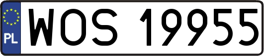 WOS19955