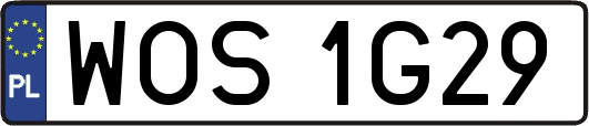 WOS1G29