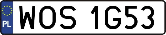 WOS1G53