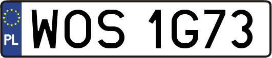 WOS1G73
