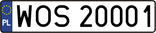 WOS20001