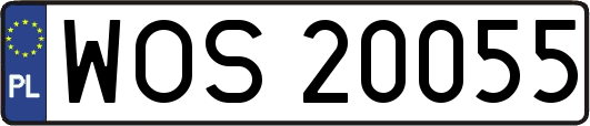 WOS20055