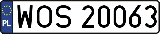 WOS20063