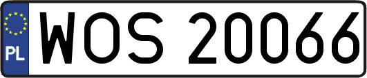 WOS20066