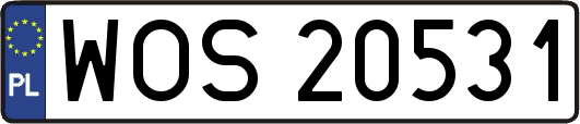 WOS20531