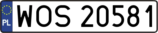 WOS20581