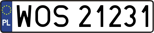 WOS21231