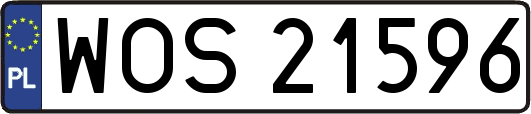 WOS21596