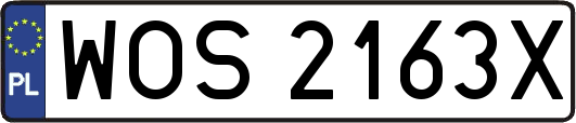 WOS2163X