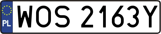 WOS2163Y