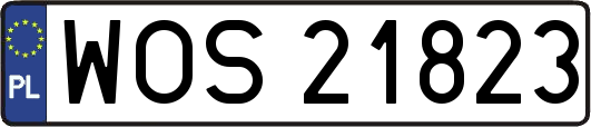 WOS21823