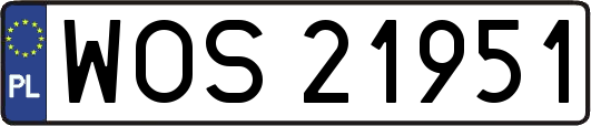 WOS21951