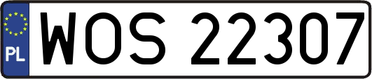 WOS22307