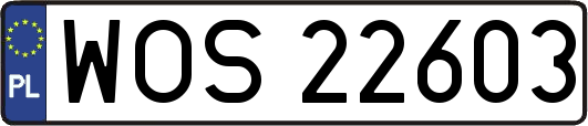 WOS22603