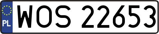 WOS22653