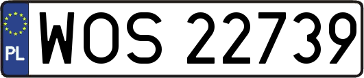 WOS22739