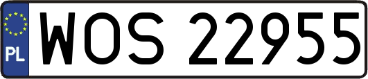 WOS22955