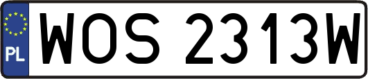 WOS2313W
