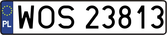 WOS23813