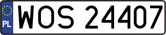 WOS24407