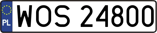 WOS24800