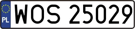 WOS25029