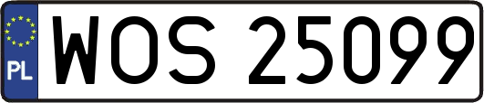 WOS25099