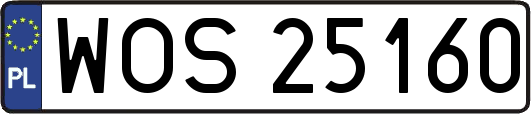 WOS25160