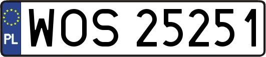 WOS25251