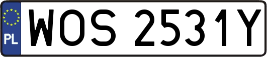 WOS2531Y