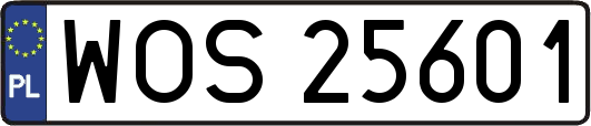 WOS25601