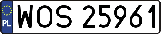 WOS25961