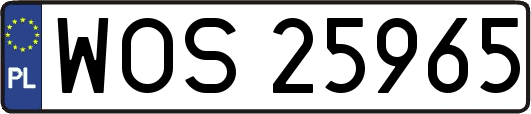 WOS25965