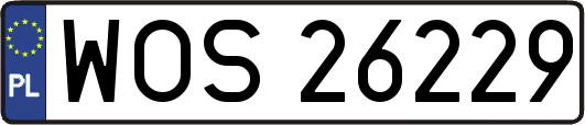 WOS26229