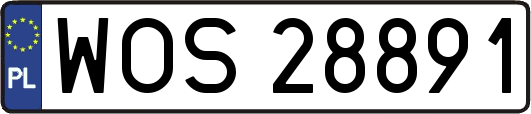 WOS28891