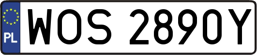 WOS2890Y