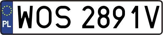 WOS2891V