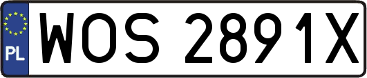 WOS2891X