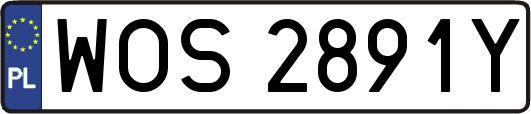 WOS2891Y