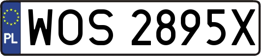 WOS2895X
