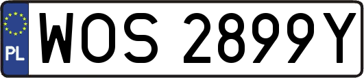 WOS2899Y