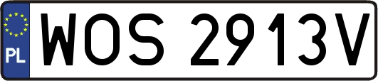 WOS2913V