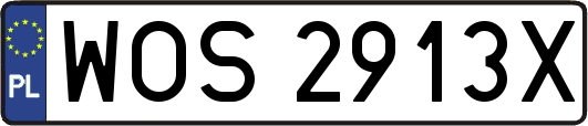 WOS2913X