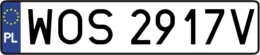 WOS2917V