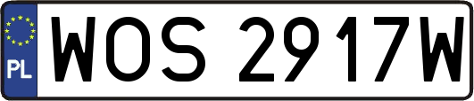 WOS2917W