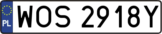 WOS2918Y